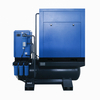 4-in-1 Permanent Magnet Screw Air Compressor Ctg Series